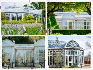 Client Story: From Dream Sunroom To Real Life Transformation